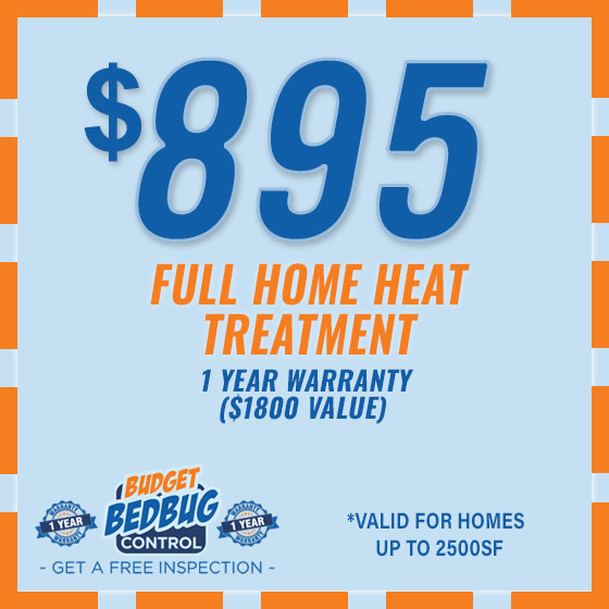 Bed Bug Treatment Special Offer