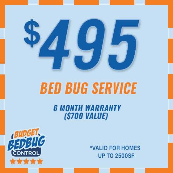 Bed Bug Treatment Special Offer