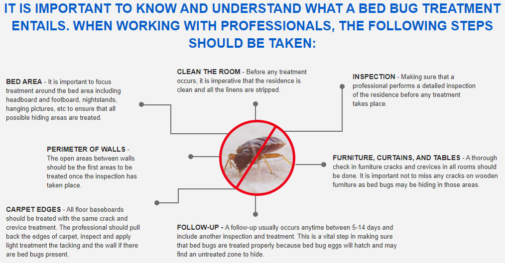 Awesomepest Bed Bug Treatment Dallas Bed Bugs